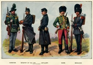 Typy armii belgijskiej, 1919.