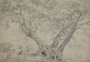 Arbra Sacra nad brzegiem jeziora Nemi, ok. 1754-56 (czarno-biała kreda na papierze) autorstwa Richard Wilson