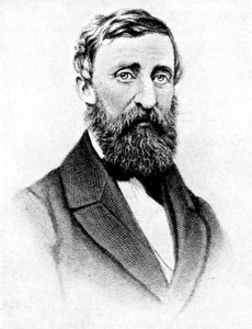 Henry David Thoreau, amerykański pisarz przyrody, 1923.