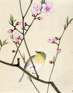 Bird - Japanese drawing by Riou Chim, late 19th century   1397561   pl       polish Successfully Translated  Original: The Slave Market Translat: The Slave Market 1242668 pl polish Successfully Translated Original: Architecture: “” View from the interior o autorstwa Riu Chim