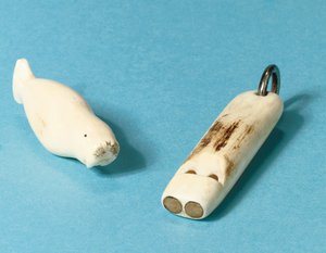 Model morsa i gwizdka autorstwa Roald Engelbergt Gravning Amundsen