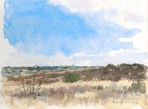 Zima na prerii, 2014 (akwarela na papierze)