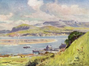 Carnarvon, z Anglesey (kolor lito) autorstwa Robert (after) Fowler