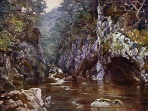 Fairy Glen, Bettws-y-Coed (kolor lito) autorstwa Robert (after) Fowler