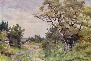 Field Path, niedaleko Llanrug (kolor lito) autorstwa Robert (after) Fowler