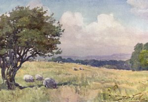 Sunny Field, niedaleko Llanberis (kolor lito) autorstwa Robert (after) Fowler