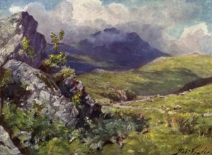 Widok Moelwyn (kolor lito) autorstwa Robert (after) Fowler