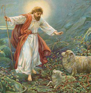 Jezus Chrystus, czuły pasterz