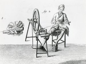 Ekonomia rustykalna, bawełna, z Encyklopedii Denisa Diderota 1713-84 grawerowanie bw szczegół zdjęcia z 164438 autorstwa Robert Benard