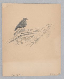 Ptak autorstwa Robert Frederick Blum