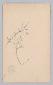 Konar autorstwa Robert Frederick Blum