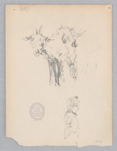 Koza autorstwa Robert Frederick Blum