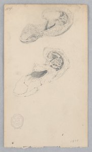 But autorstwa Robert Frederick Blum