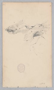 Dywan ze skóry tygrysa autorstwa Robert Frederick Blum