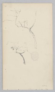 Drzewo autorstwa Robert Frederick Blum