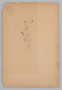 Kobieta autorstwa Robert Frederick Blum