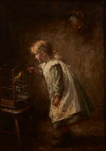 Kanarek Zwierzak (olej na płótnie) autorstwa Robert Gemmell Hutchison