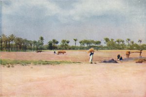 Esbet-El-Ekiad - Ziemia Goszen, ok. 1880, 1904