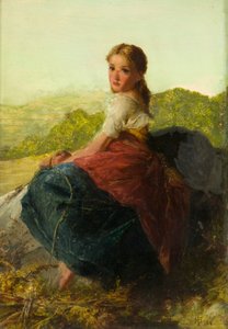 Zbieracz paproci