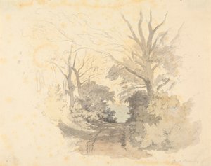 Lane, Great Borside