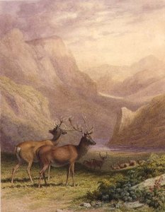 Jeleń w Highlands autorstwa Robert Hills