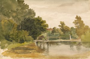 Odbicia w zalesionym basenie autorstwa Robert Hills