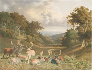  autorstwa Robert Hills