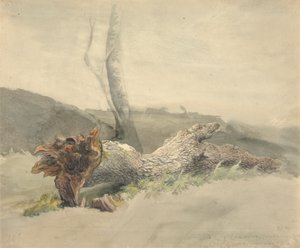 Upadłe drzewo autorstwa Robert Hills