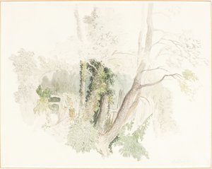 Drzewa w Beddington autorstwa Robert Hills