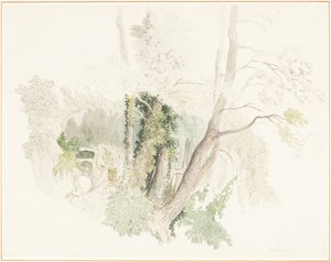  autorstwa Robert Hills