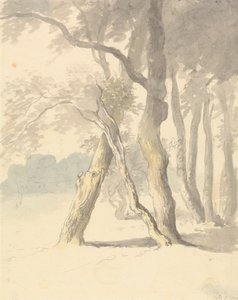Studium leśne autorstwa Robert Hills