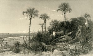 „Na wybrzeżu Florydy”, 1872.