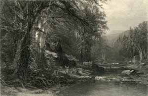 „Las Adirondack”, 1874.