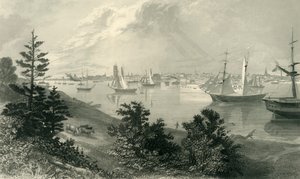 „Miasto Detroit, od wybrzeża Kanady”, 1872.