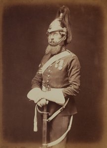 Sierżant-major Bailey, 1. Royal Dragon Guards