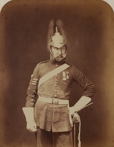 Sierżant-major Stewart, 5. Gwardia Dragońska (Księżnej Charlotty Walii) autorstwa Robert Howlett