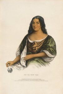  autorstwa Robert Matthew Sully