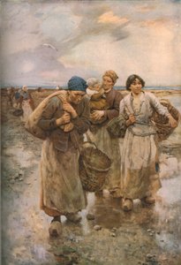 Żywicy, ok. 1904, ok. 1930.