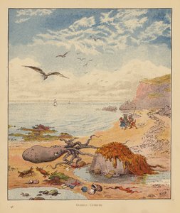 The Kitten Pilgrims: Octopus Untruth (kolor lito) autorstwa Robert Michael Ballantyne