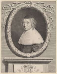 Madame Bouthillier Marie de Bragelogne, 1656. autorstwa Robert Nanteuil