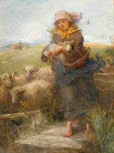 Pasterka (wc na papierze)