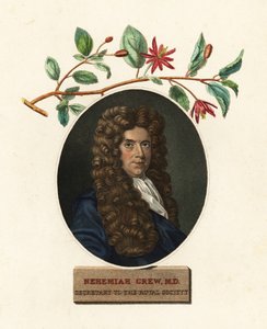 Portret Nehemiasza Grewa, lekarza i botanika.1809 (rycina)