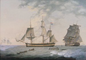 Połowy wielorybów w Arktyce autorstwa Robert Willoughby