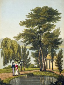 Clifton, z „Naturama, czyli nieskończona transpozycja poglądów natury na Tamizę”, ok. 1825 (akwatinta ręcznie kolorowana)