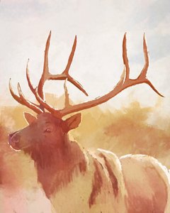 Bull Elk, 2023 r. (w wersji cyfrowej)