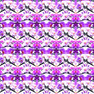 Powtórzenie fioletowej orchidei