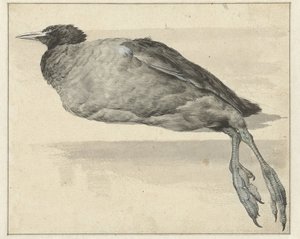 martwy głupek autorstwa Rochus van Veen