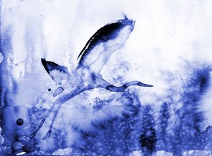 Wdzięczna czapla modra autorstwa RodMacIver
