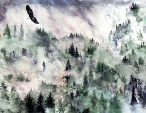 Orzeł z Misty Mountain autorstwa RodMacIver