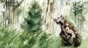 Dzikie niedźwiedzie leśne autorstwa RodMacIver